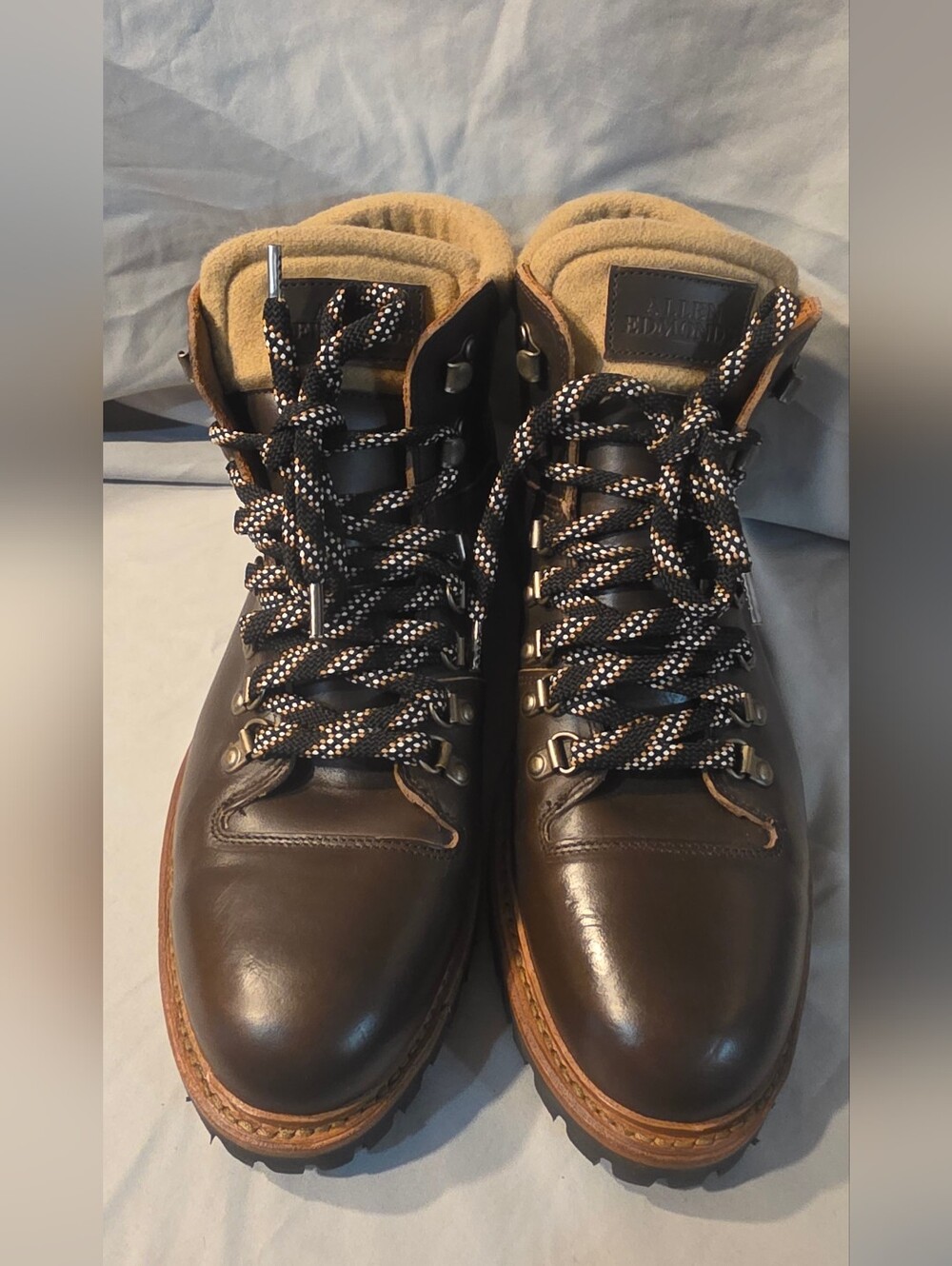 Allen Edmonds Whistler Weather-ready Hiker Boot Dark Brown Men SZ 9 NWOB Defects - Picture 2 of 15